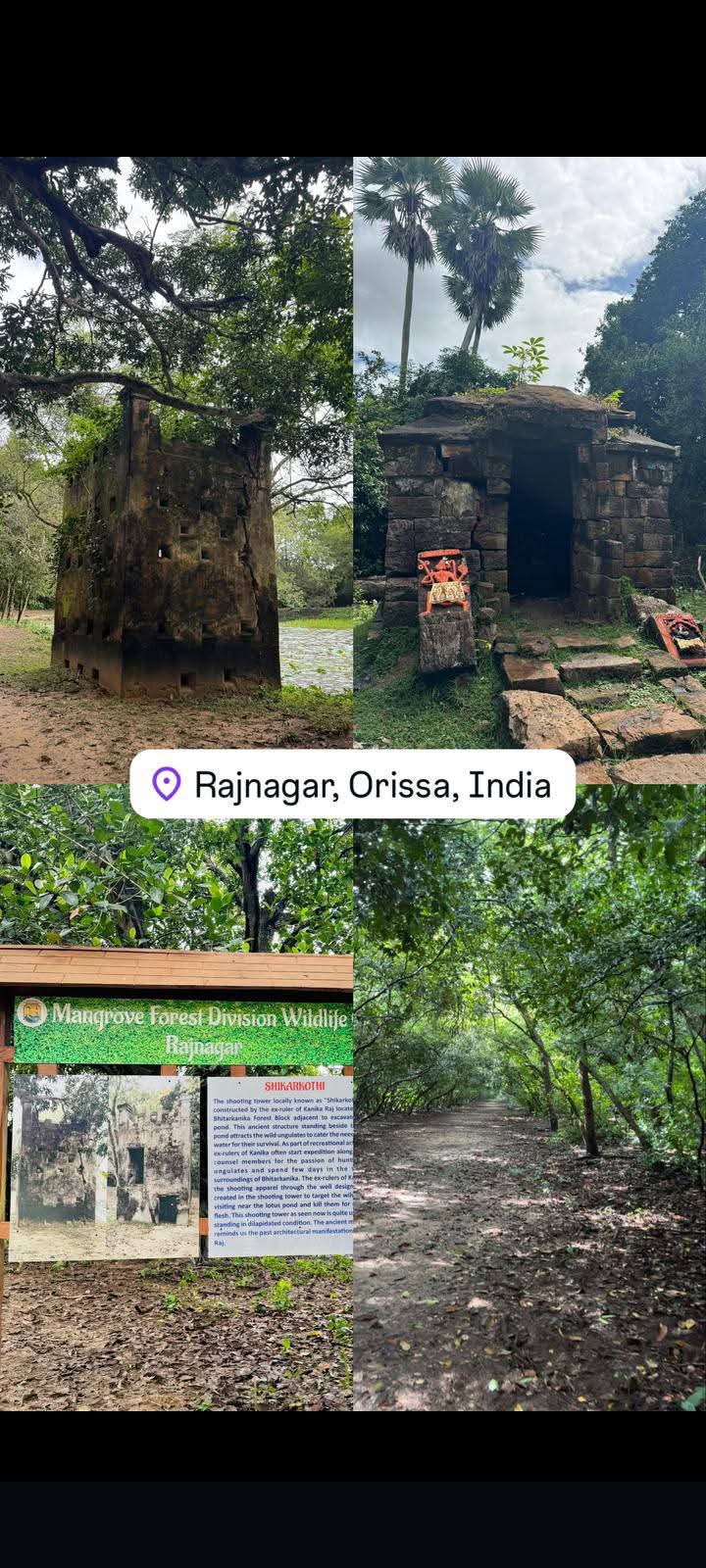 Ancient Shikarkothi Ruins